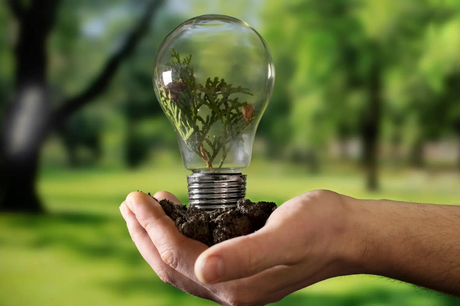 Máster en Normativas Energéticas y Certificación Ambiental 3