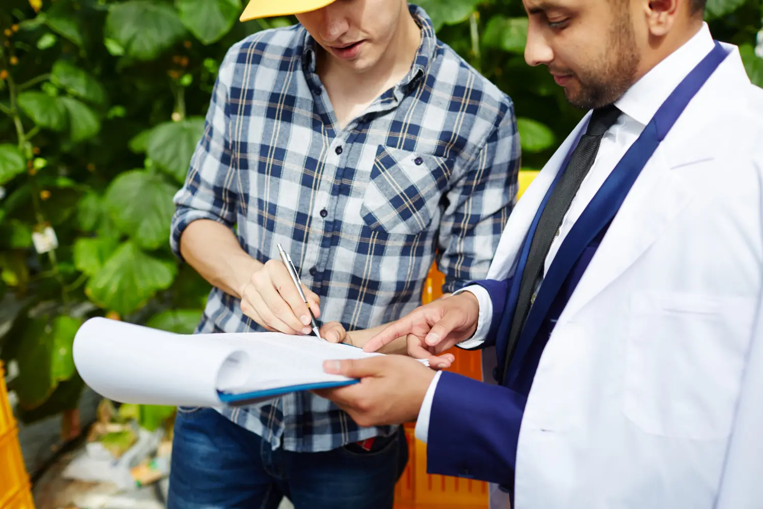 Curso en QAQC Planes de Inspección y Ensayo (ITP) 3